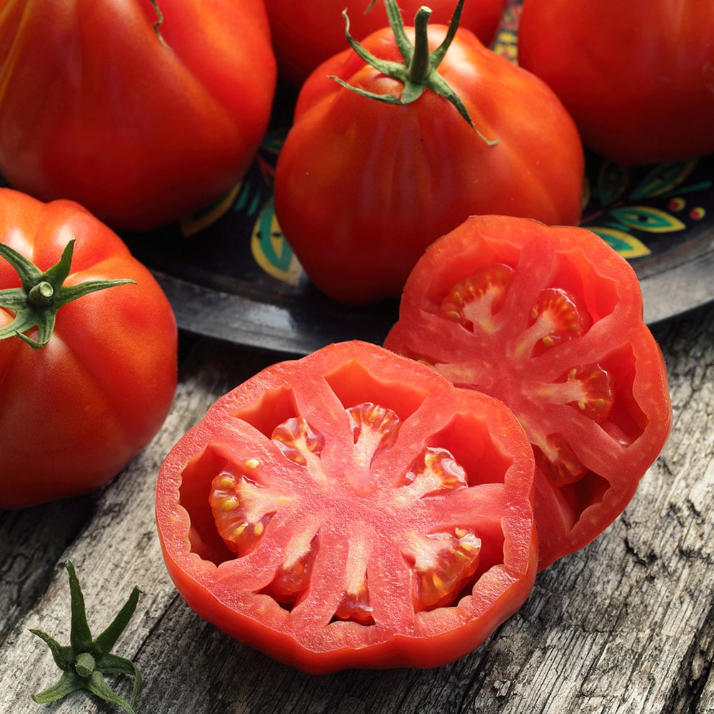 Lot de 4 variétés de tomates de type "Cœur"