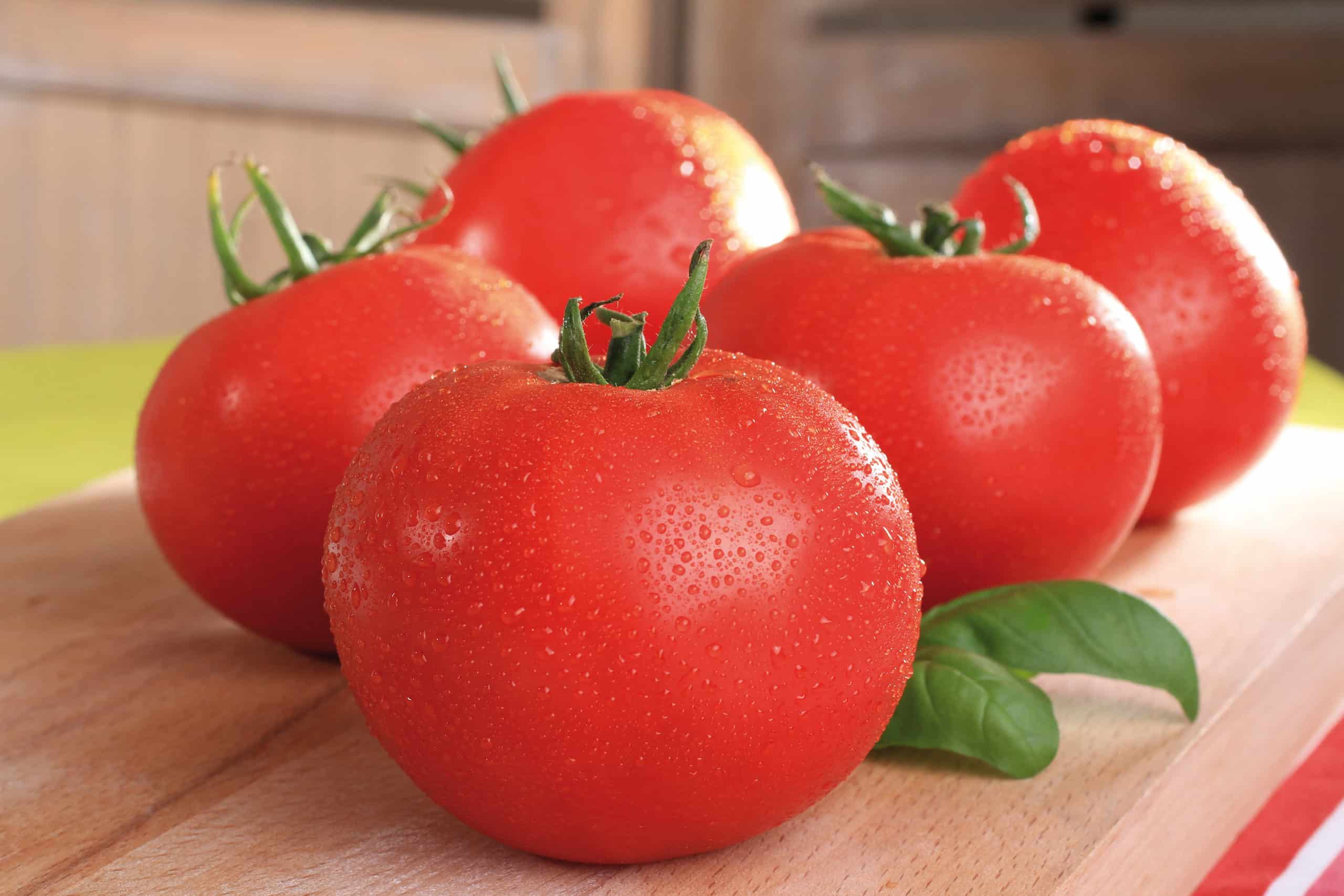 Tomate "Maestria" – Image 4