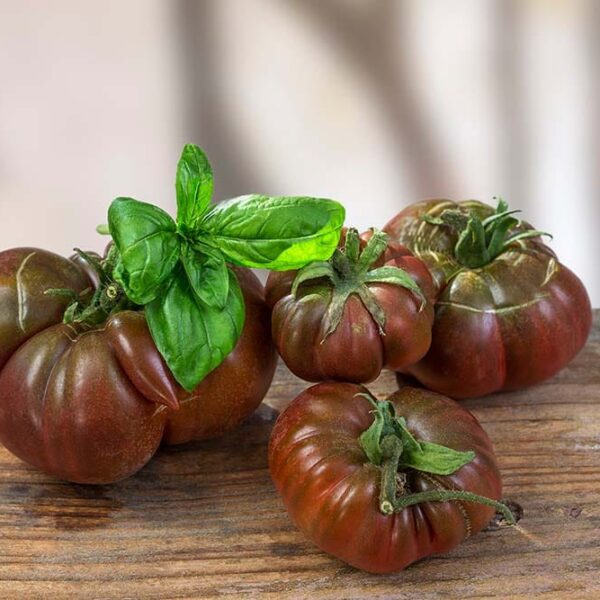 Tomate "Noir de crimée"