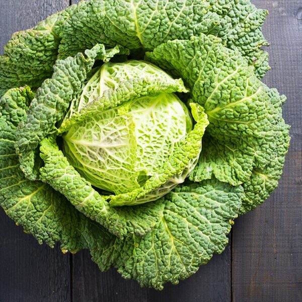 Replants de Choux et de Céleris