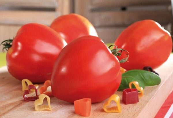 Tomate coeur (500gr) (Barthel)