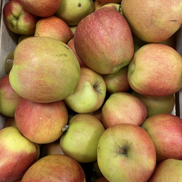 Pomme