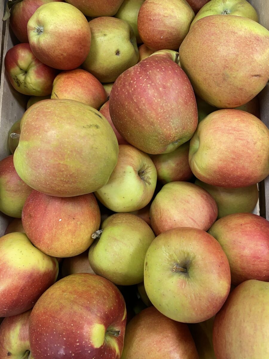 Pomme