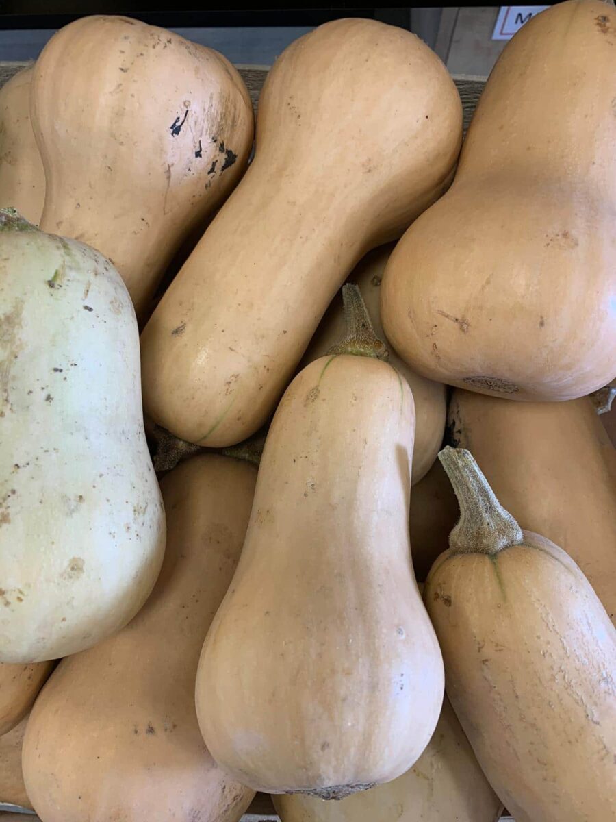 Butternut origine Alsace (1 kilo)