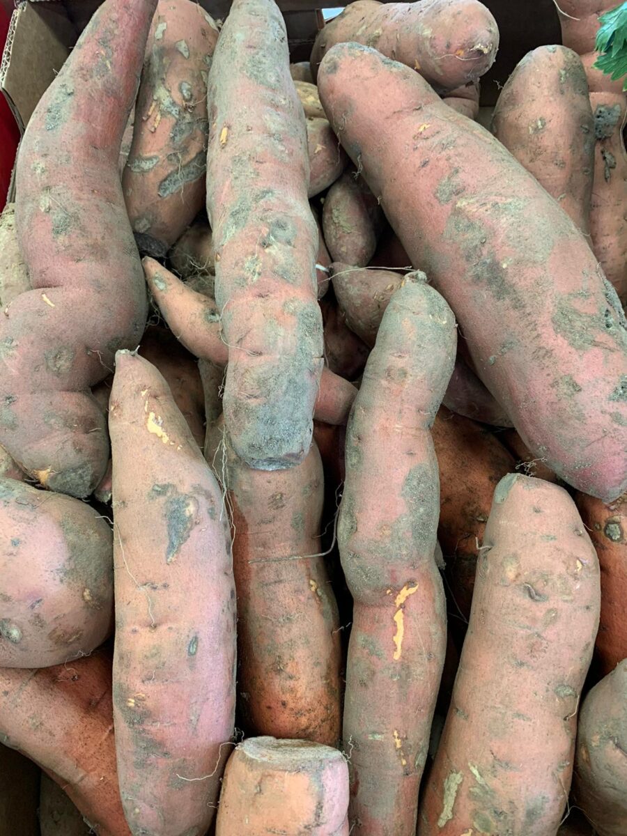 Patate douce origine Alsace (1 kilo)