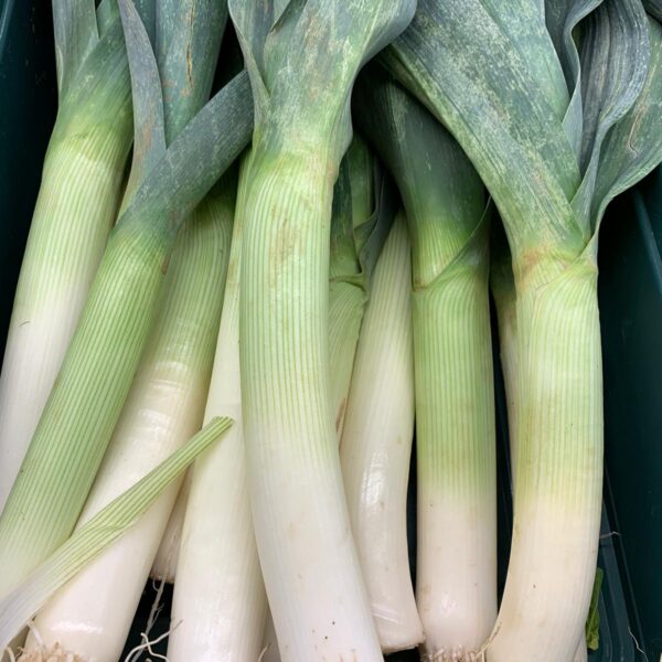 Poireau production Barthel (1kilo)