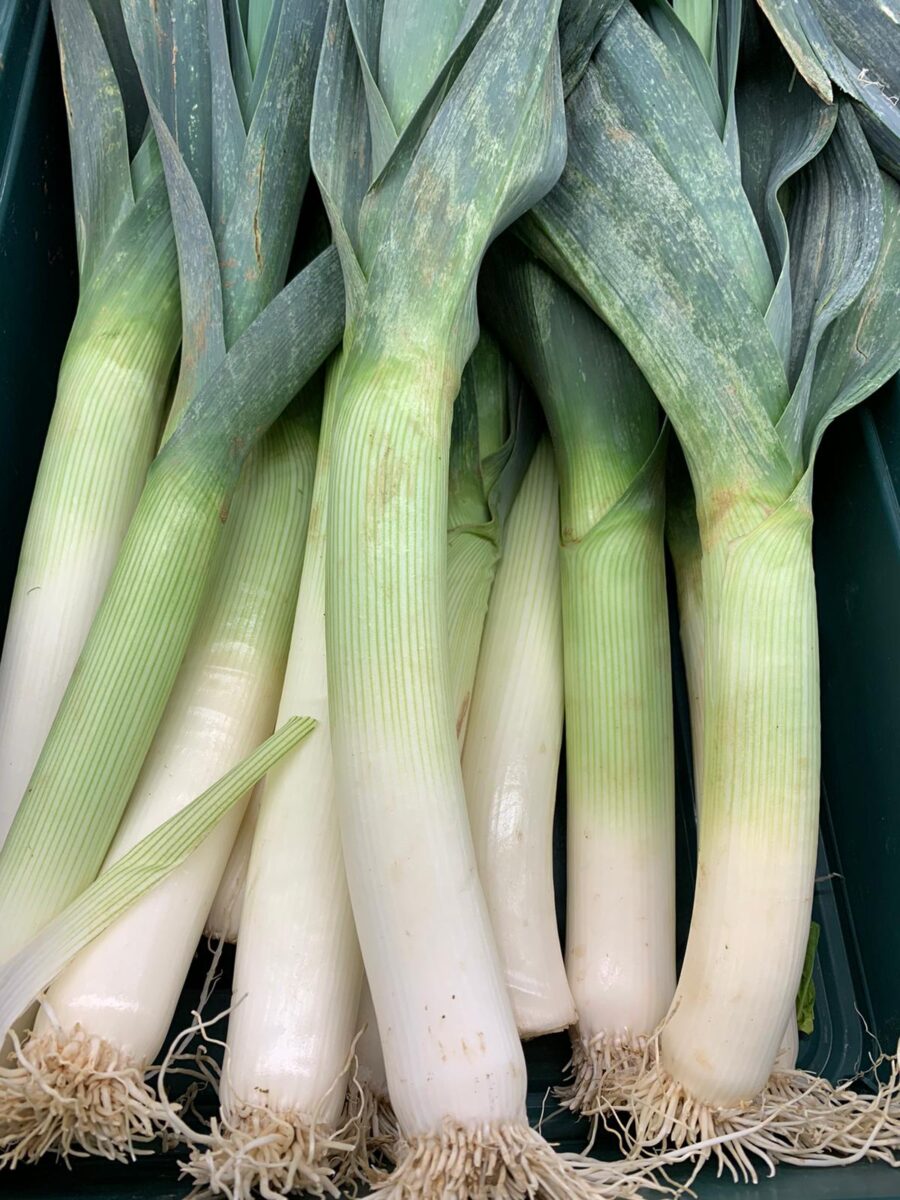 Poireau production Barthel (1kilo)