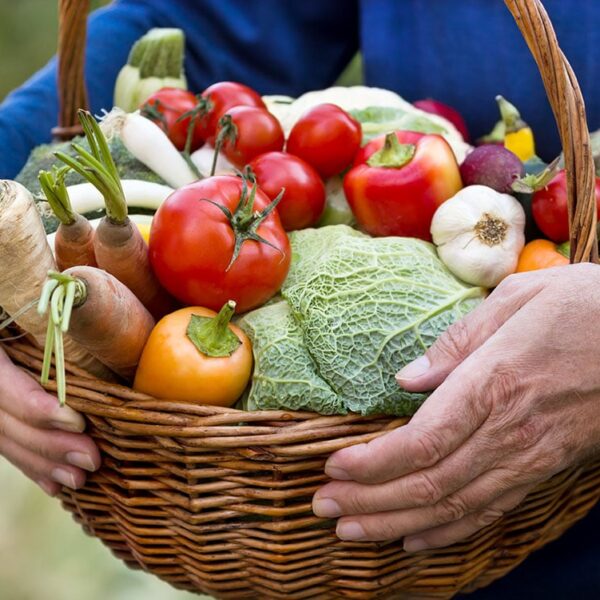 Paniers légumes et produits locaux