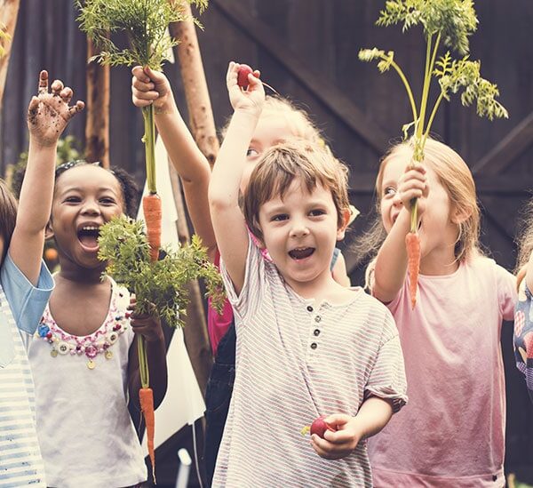 Tout pour le potager