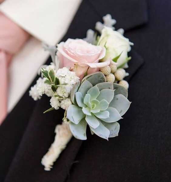 Boutonnière marié avec echeveria
