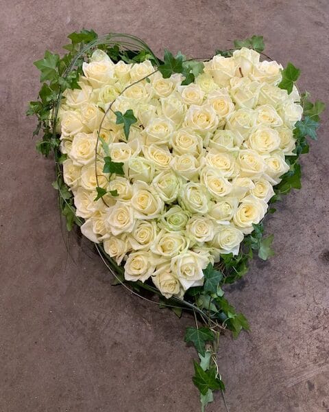 Cœur roses blanche