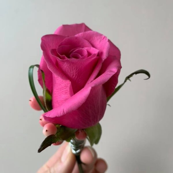 Boutonnière rose fuschia