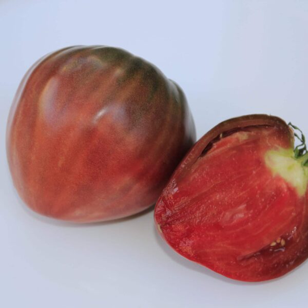 Tomate Coeur de Boeuf noir