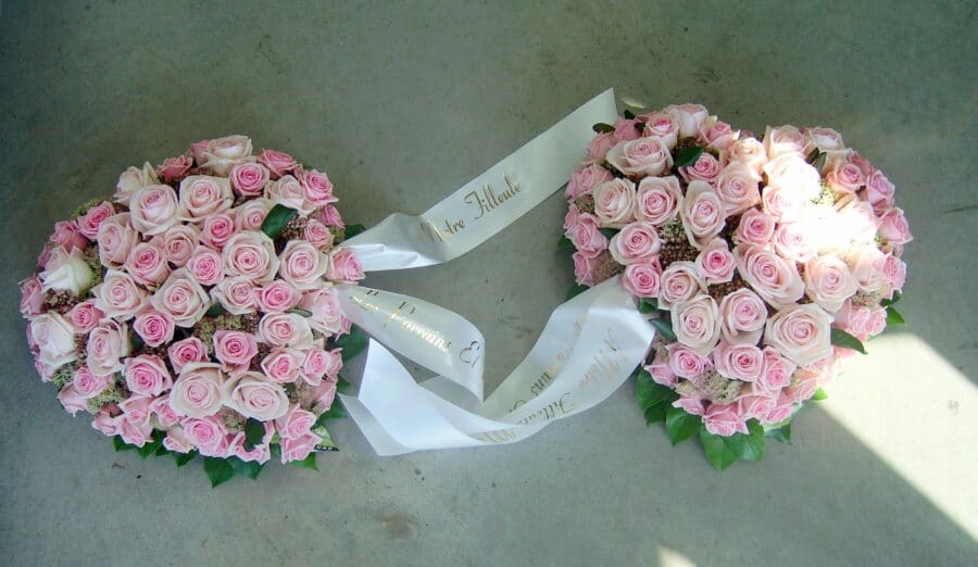 Cœur(s) en roses rose