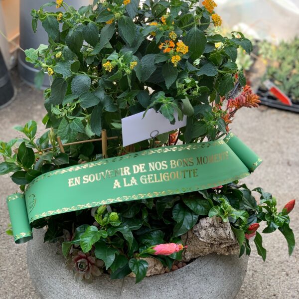 Grande coupe plantée coloré jaune/orangé