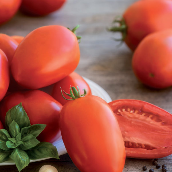Tomate super MAMA
