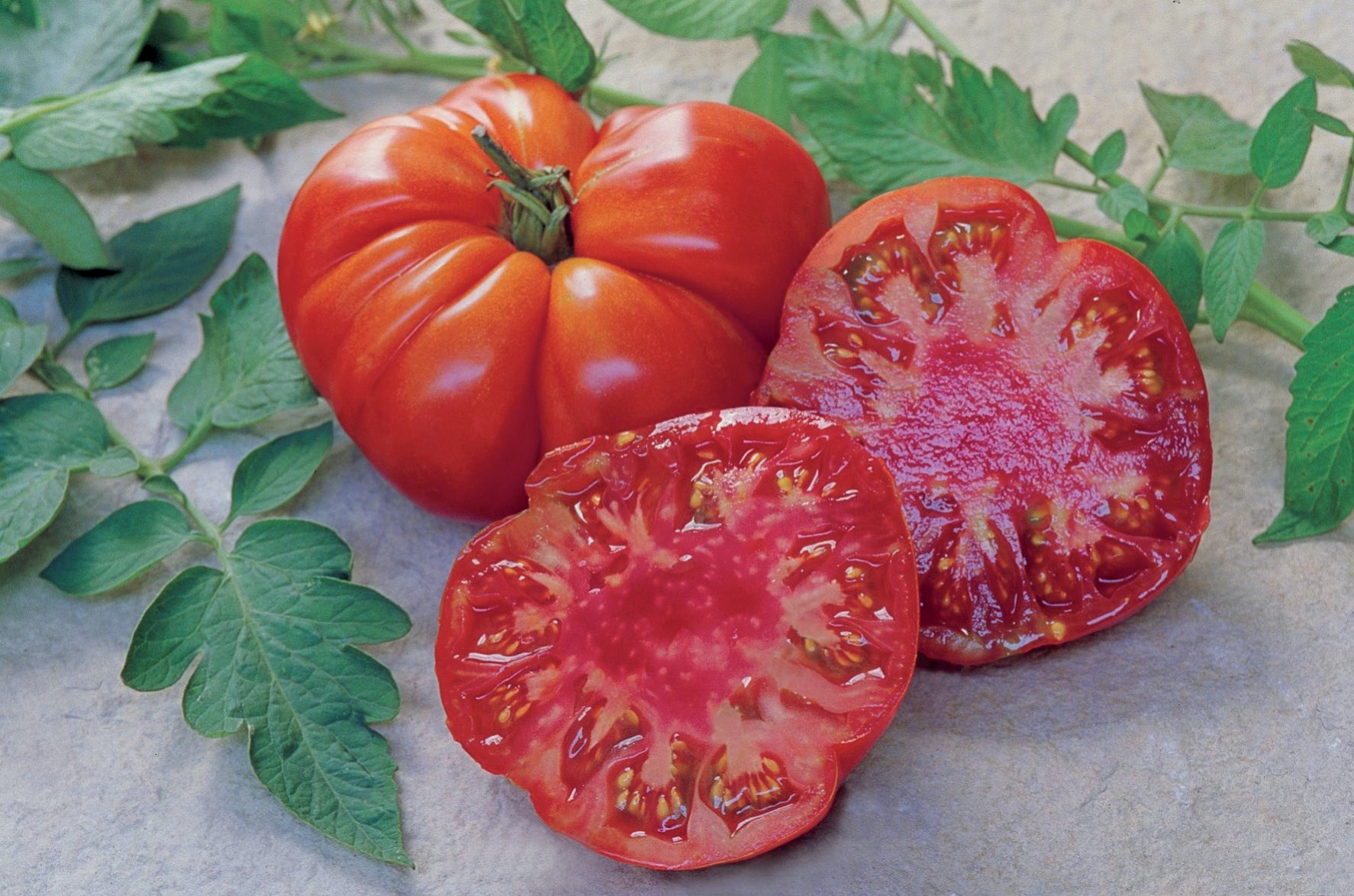 Tomate Marmande