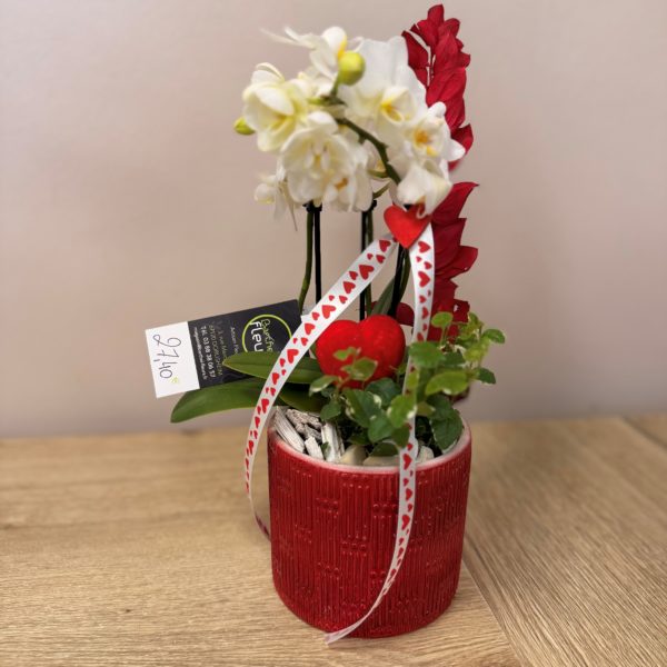 Petite orchidée blanche garnis en rouge