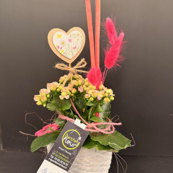 Kalanchoé rose décoré