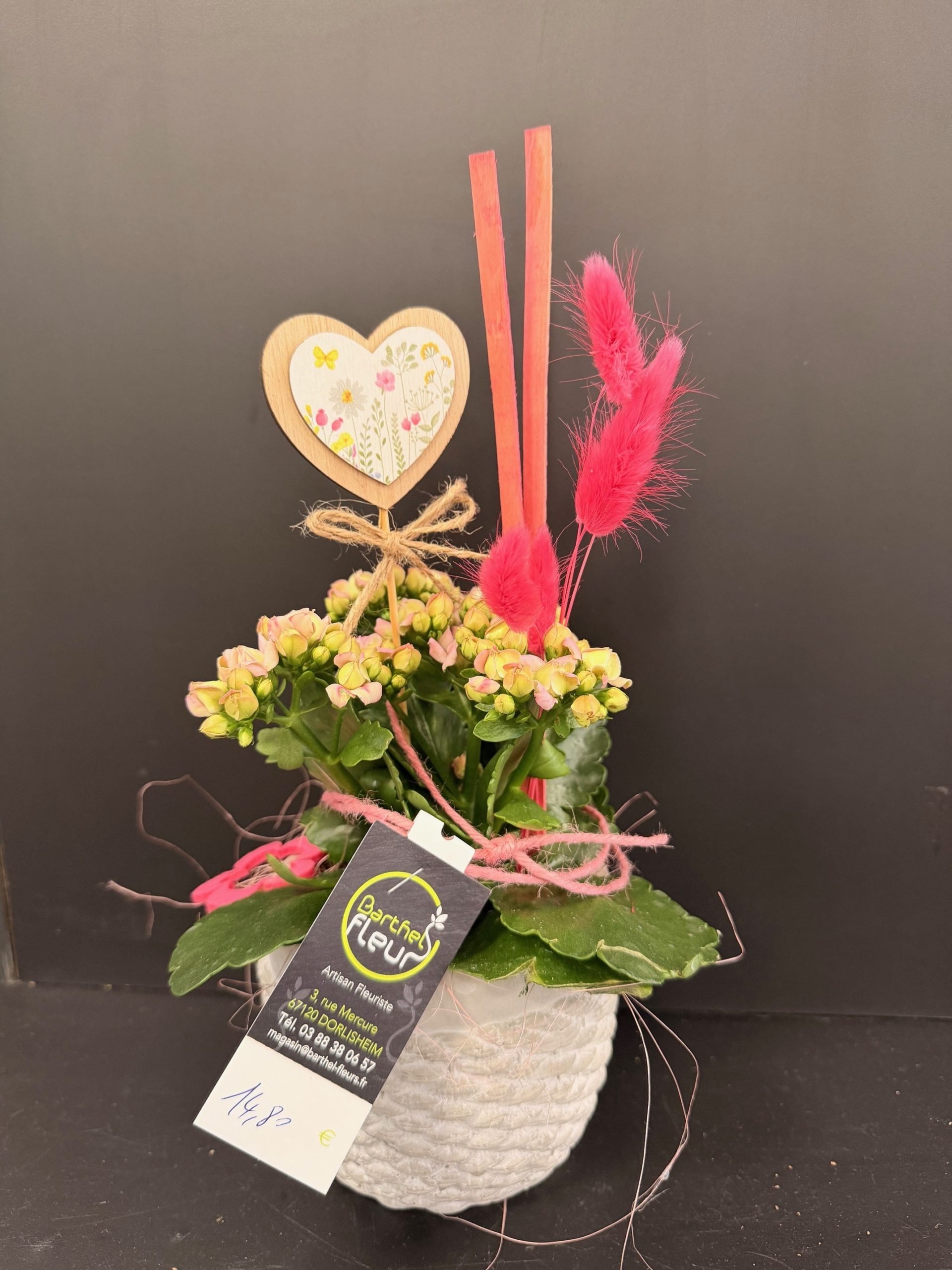 Kalanchoé rose décoré