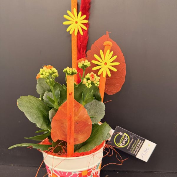Kalanchoé orange décoré