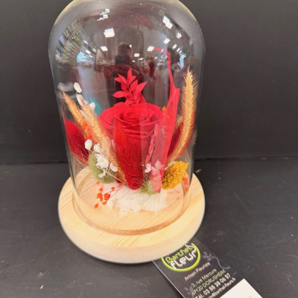 Cloche avec rose rouge éternelle + fleurs séchées LUMIERE INTÉGRÉE