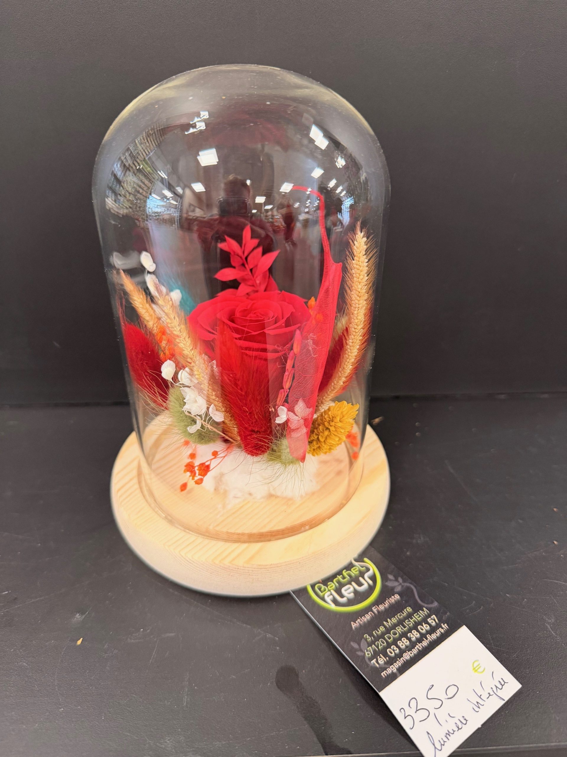 Cloche avec rose rouge éternelle + fleurs séchées LUMIERE INTÉGRÉE