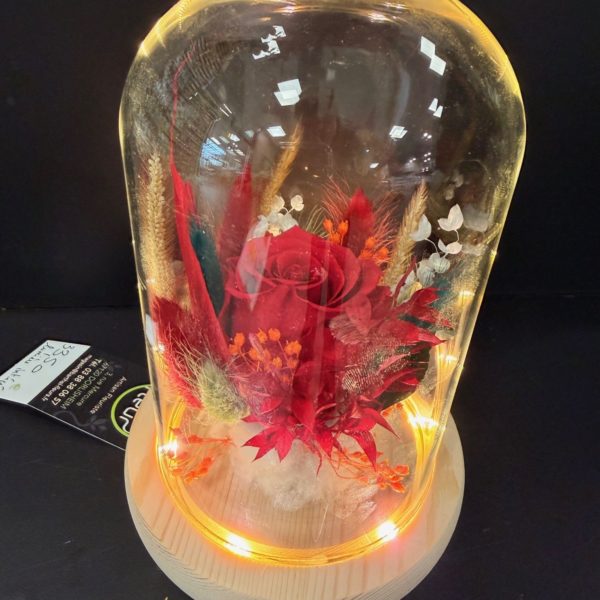Alternative view of Cloche avec rose rouge éternelle + fleurs séchées LUMIERE INTÉGRÉE