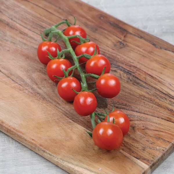 Tomate cerise "RUBY FIZZ"