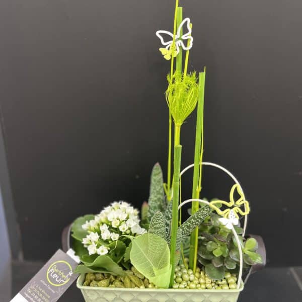 Composition plantée intérieur vert et blanc