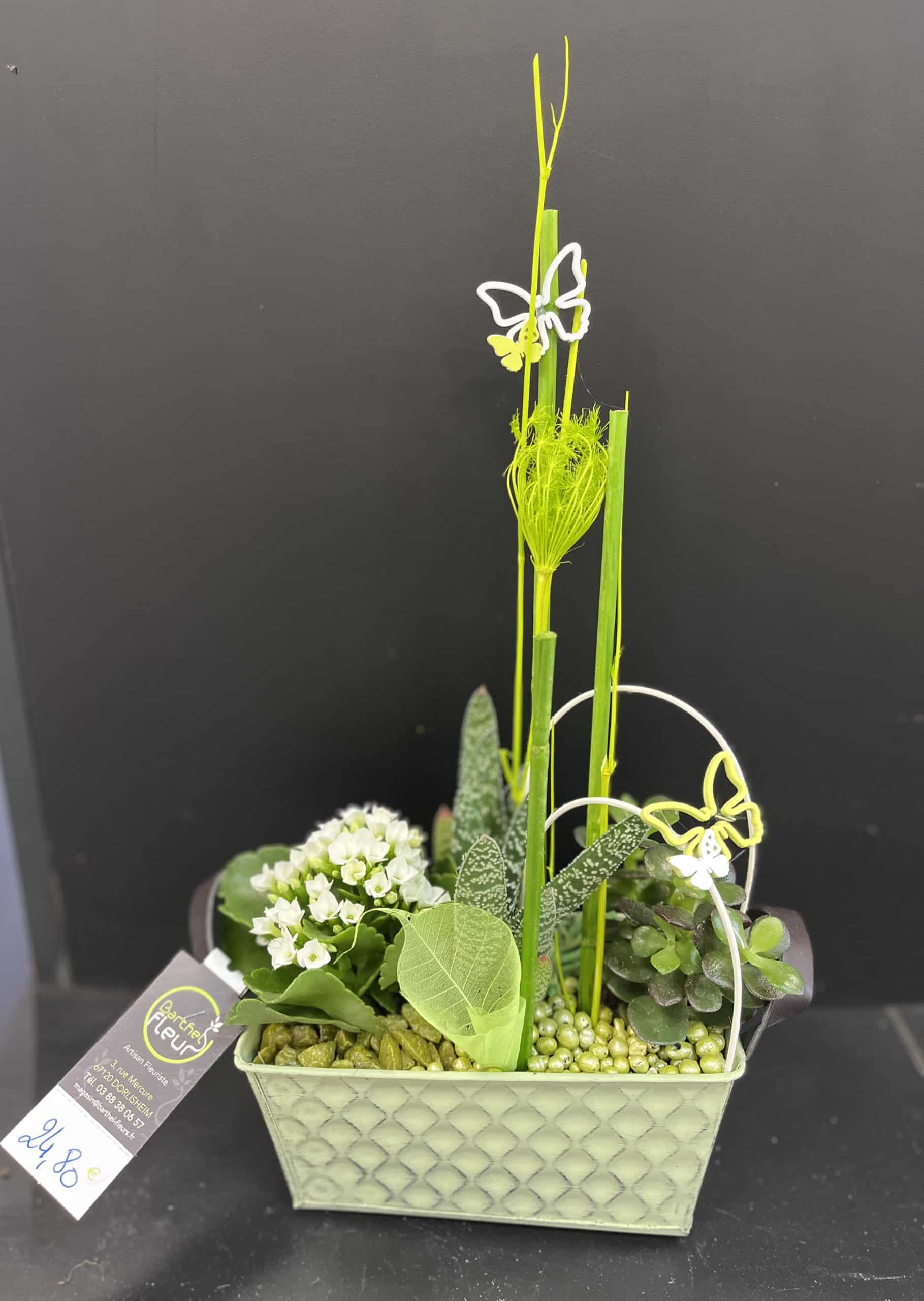 Composition plantée intérieur vert et blanc