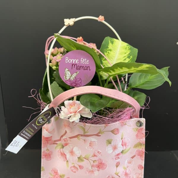 Composition plantée intérieur sac rose